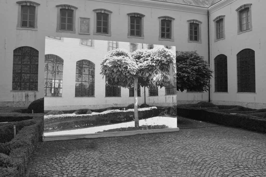 art, building, architecture, angel garra, the necker tree, tree, courtyard, installation, perspective, black white, work of art, the noker, courtyard garden, nature, contour, moving image biennial, mechelen, video screen