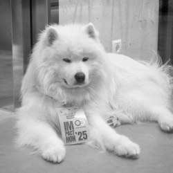 Website Headshots'26 (1)